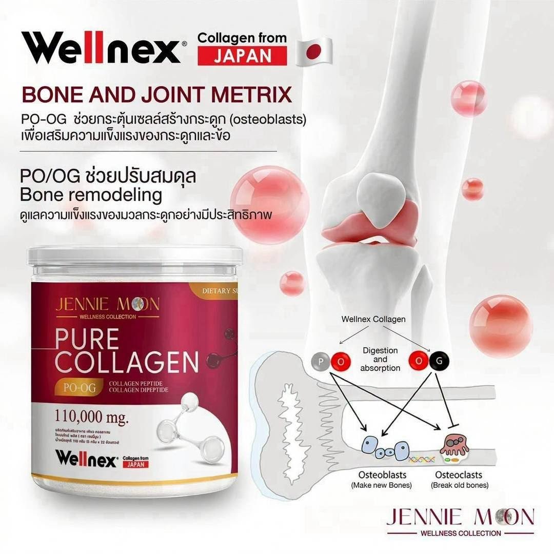 JENNIE MOON PURE COLLAGEN PO-OG 110,000 mg / 110 g — Wellnex Collagen