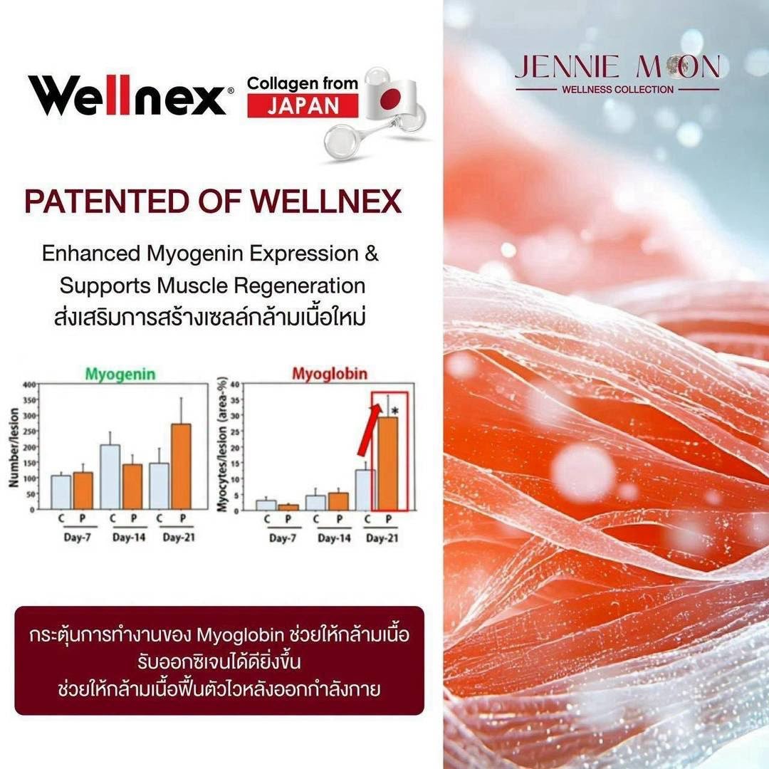 JENNIE MOON PURE COLLAGEN PO-OG 110,000 mg / 110 g — Wellnex Collagen