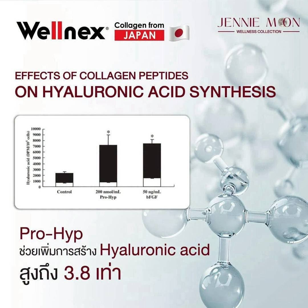 JENNIE MOON PURE COLLAGEN PO-OG 110,000 mg / 110 g — Wellnex Collagen